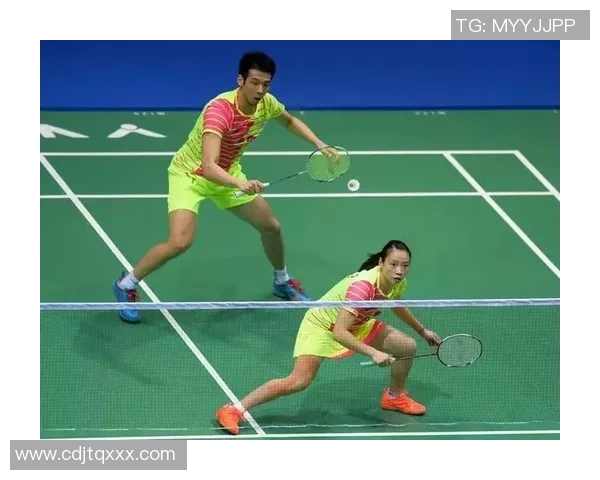 杭州羽毛球队在锦标赛中的默契配合与战术分析